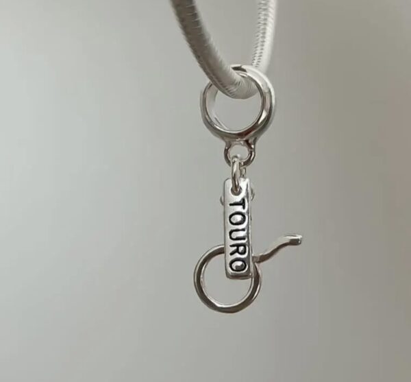 Berloque Signo Touro